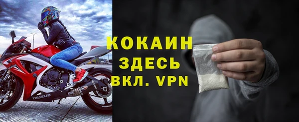 дмт Кодинск