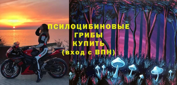 таблы Козловка