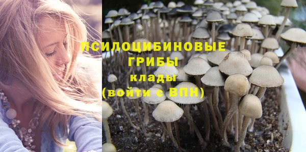 прущая мука Кинешма