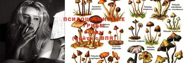 альфа пвп Киренск